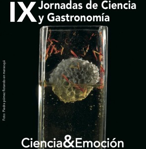 Cartel de las IX jornadas de ciencia y gastronomía