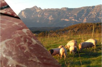 ¿Por qué es importante comer -buena- carne?