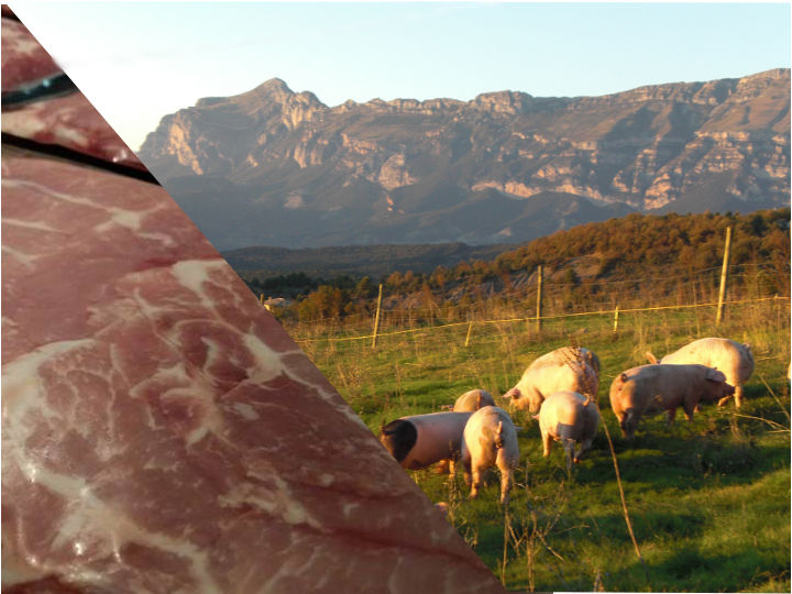 ¿Por qué es importante comer -buena- carne?