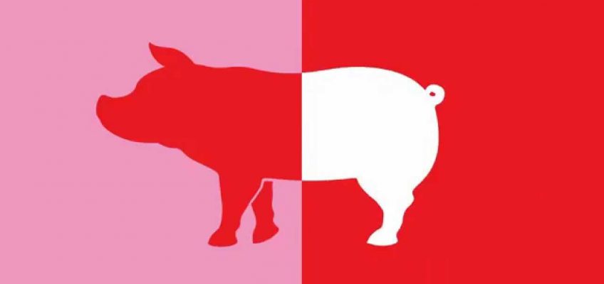 ¿La carne de cerdo es roja o blanca?