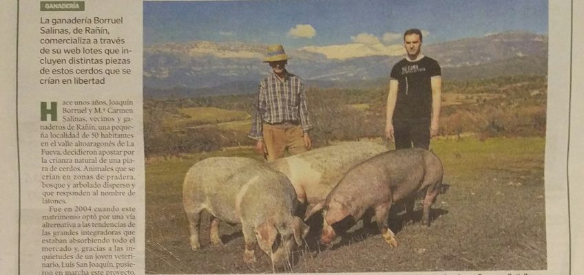 Entrevista en Heraldo de Aragón