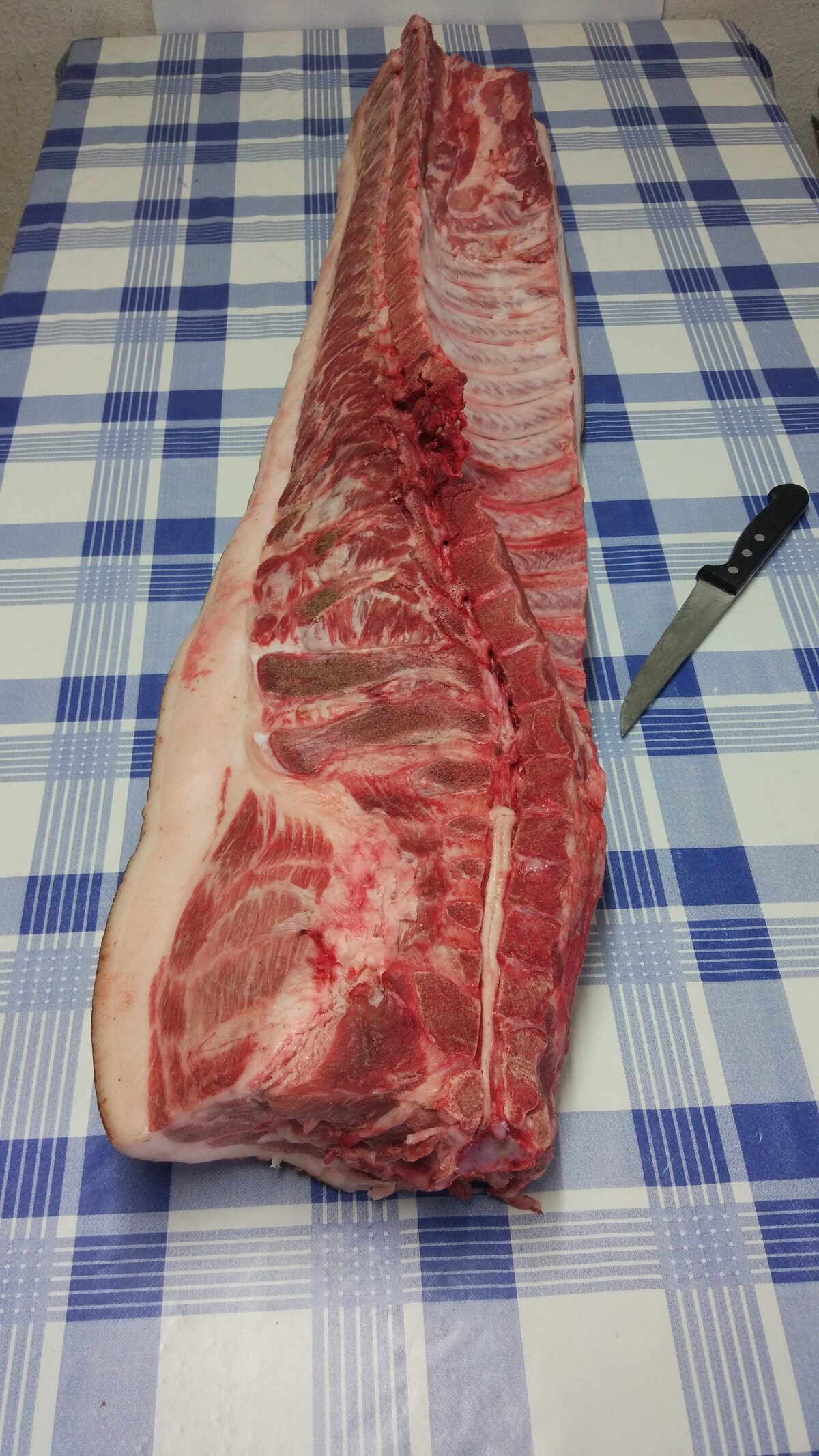 Costillar entero de cerdo latón de La Fueva sobre la mesa