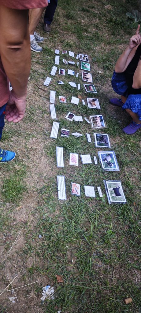 Láminas con fotografías de animales y piezas de carne colocadas sobre la hierba durante una actividad de las jornadas
