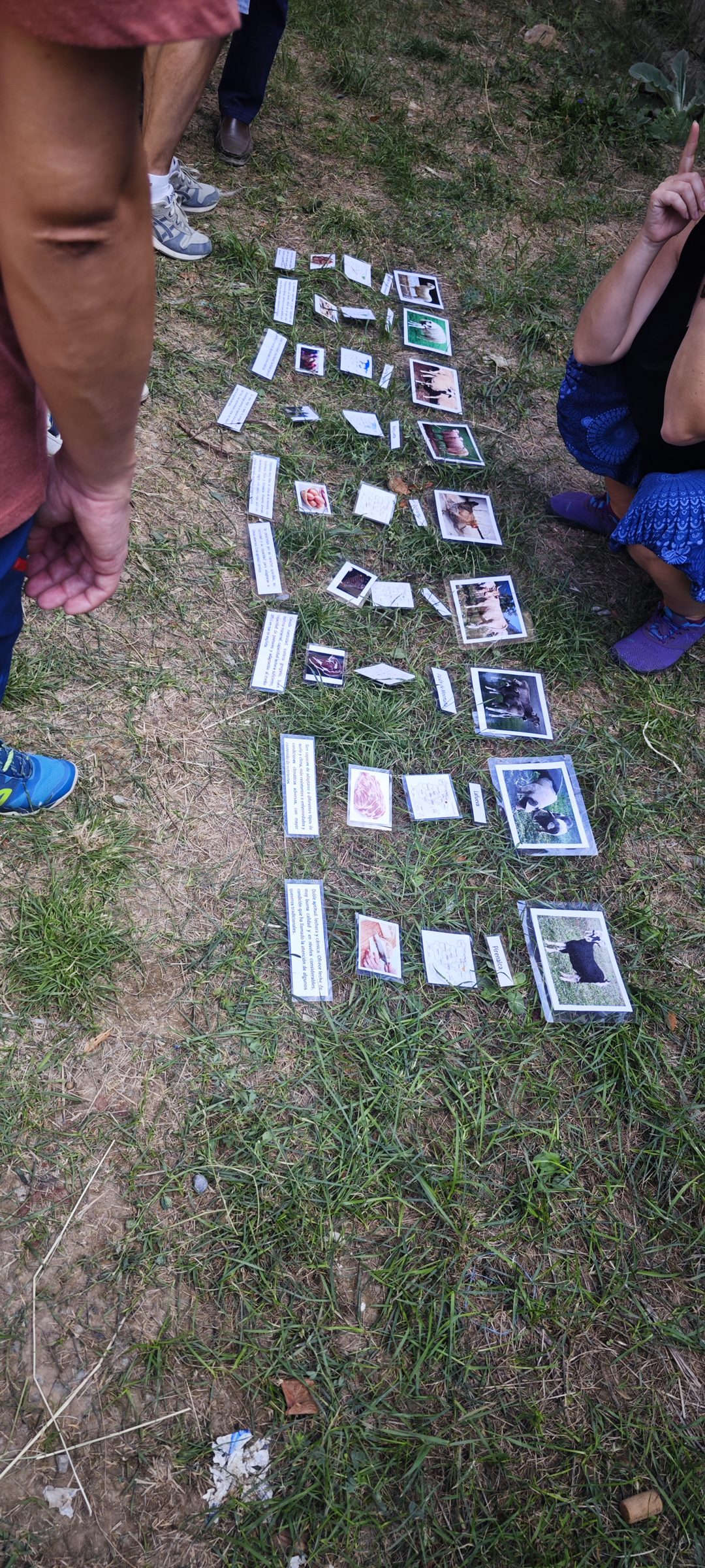 Láminas con fotografías de animales y piezas de carne colocadas sobre la hierba durante una actividad de las jornadas