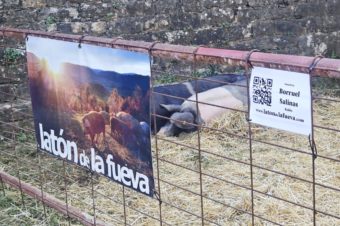 Latón de La Fueva en la XL Expoferia de Sobrarbe, en Aínsa