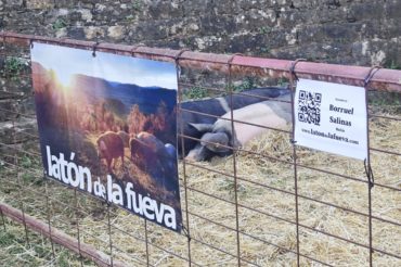 Latón de La Fueva en la XL Expoferia de Sobrarbe, en Aínsa