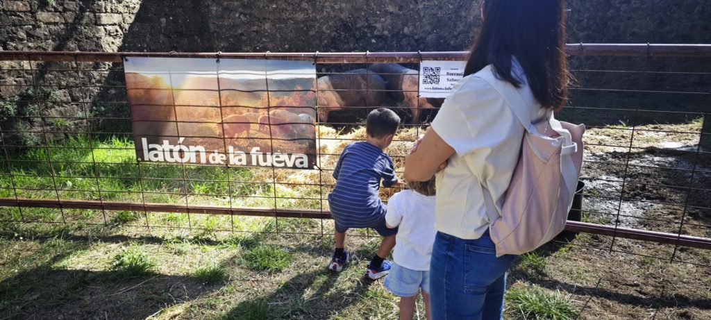 Niños y familias asomados al corral de los cerdos latón en la Expoferia de Sobrarbe
