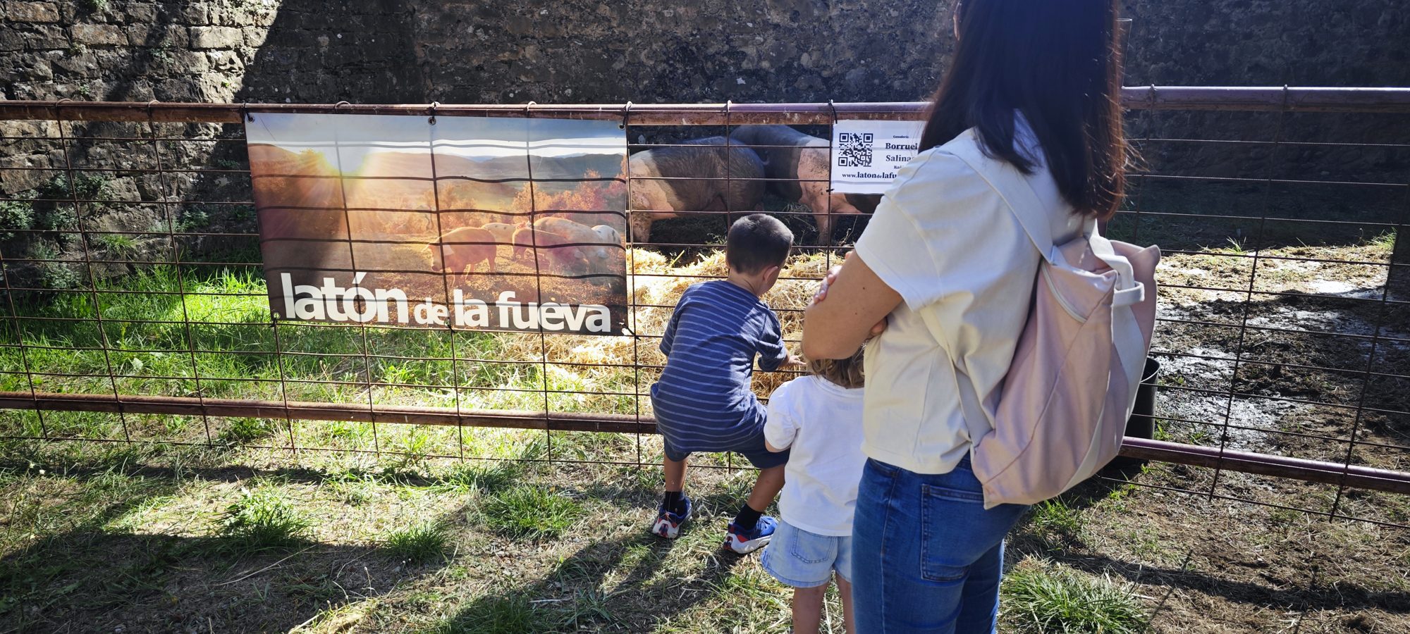 Niños y familias asomados al corral de los cerdos latón en la Expoferia de Sobrarbe